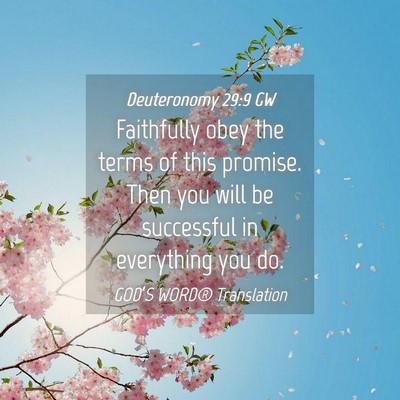 Picture 04 - Deuteronomy 29:9 GW - Faithfully obey the terms of this promise. Then - Bible Verse Picture