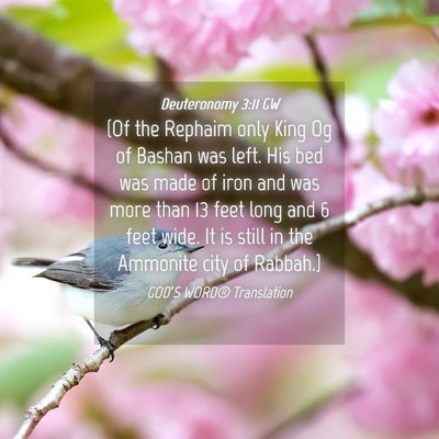 Picture 04 - Deuteronomy 3:11 GW - (Of the Rephaim only King Og of Bashan was left. - Bible Verse Picture