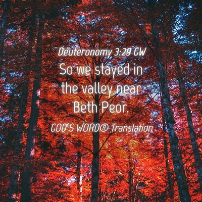 Picture 04 - Deuteronomy 3:29 GW - So we stayed in the valley near Beth - Bible Verse Picture