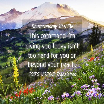 Picture 04 - Deuteronomy 30:11 GW - This command I’m giving you today isn’t too - Bible Verse Picture