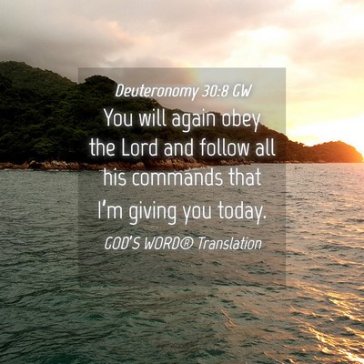 Picture 04 - Deuteronomy 30:8 GW - You will again obey the Lord and follow all his - Bible Verse Picture