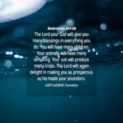 Picture 04 - Deuteronomy 30:9 GW - The Lord your God will give you many blessings in - Bible Verse Picture