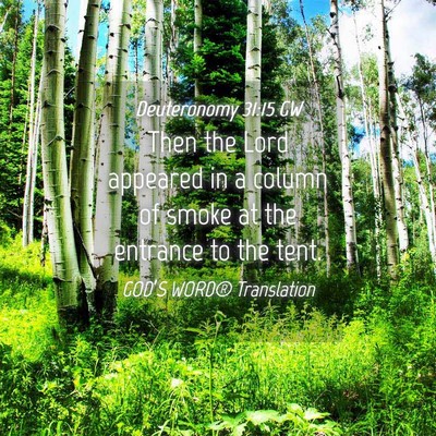 Picture 04 - Deuteronomy 31:15 GW - Then the Lord appeared in a column of smoke at - Bible Verse Picture