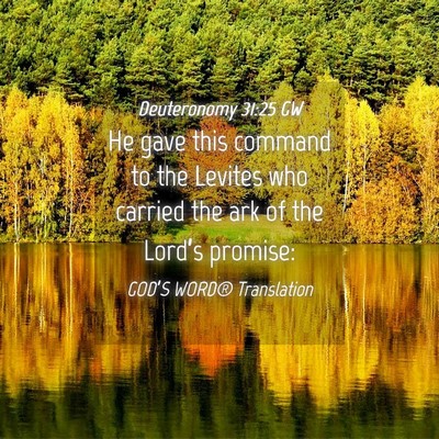 Picture 04 - Deuteronomy 31:25 GW - He gave this command to the Levites who carried - Bible Verse Picture