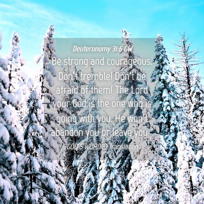 Picture 04 - Deuteronomy 31:6 GW - Be strong and courageous. Don’t tremble! - Bible Verse Picture