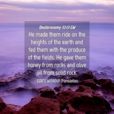 Picture 04 - Deuteronomy 32:13 GW - He made them ride on the heights of the earth and - Bible Verse Picture