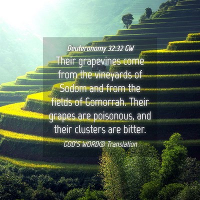 Picture 04 - Deuteronomy 32:32 GW - Their grapevines come from the vineyards of Sodom - Bible Verse Picture
