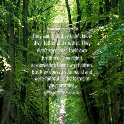 Picture 04 - Deuteronomy 33:9 GW - They said that they didn’t know their father - Bible Verse Picture