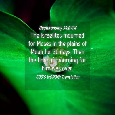 Picture 04 - Deuteronomy 34:8 GW - The Israelites mourned for Moses in the plains of - Bible Verse Picture