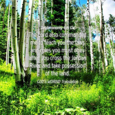 Picture 04 - Deuteronomy 4:14 GW - The Lord also commanded me to teach you the laws - Bible Verse Picture