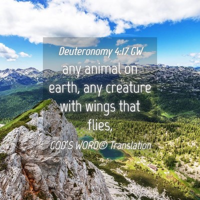 Picture 04 - Deuteronomy 4:17 GW - any animal on earth, any creature with wings that - Bible Verse Picture