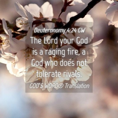 Picture 04 - Deuteronomy 4:24 GW - The Lord your God is a raging fire, a God who - Bible Verse Picture