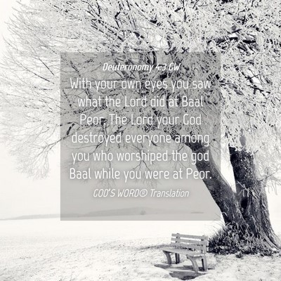 Picture 04 - Deuteronomy 4:3 GW - With your own eyes you saw what the Lord did at - Bible Verse Picture