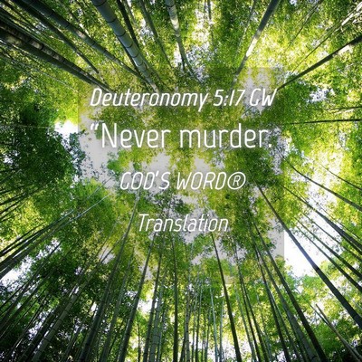 Picture 04 - Deuteronomy 5:17 GW - “Never - Bible Verse Picture