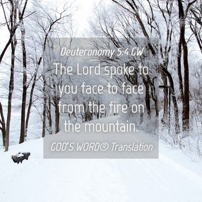 Picture 04 - Deuteronomy 5:4 GW - The Lord spoke to you face to face from the fire - Bible Verse Picture