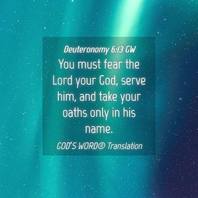 Picture 04 - Deuteronomy 6:13 GW - You must fear the Lord your God, serve him, and - Bible Verse Picture
