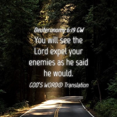 Picture 04 - Deuteronomy 6:19 GW - You will see the Lord expel your enemies as he - Bible Verse Picture