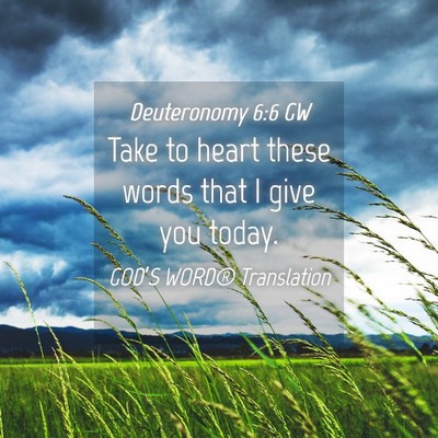 Picture 04 - Deuteronomy 6:6 GW - Take to heart these words that I give you - Bible Verse Picture