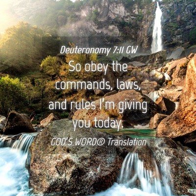 Picture 04 - Deuteronomy 7:11 GW - So obey the commands, laws, and rules I’m - Bible Verse Picture