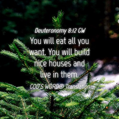 Picture 04 - Deuteronomy 8:12 GW - You will eat all you want. You will build nice - Bible Verse Picture
