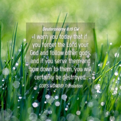 Picture 04 - Deuteronomy 8:19 GW - I warn you today that if you forget the Lord your - Bible Verse Picture