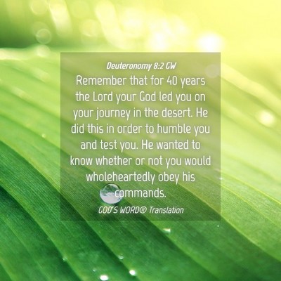 Picture 04 - Deuteronomy 8:2 GW - Remember that for 40 years the Lord your God led - Bible Verse Picture