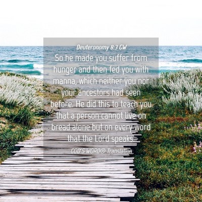 Picture 04 - Deuteronomy 8:3 GW - So he made you suffer from hunger and then fed - Bible Verse Picture