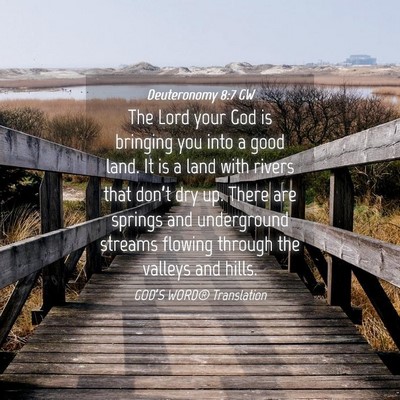 Picture 04 - Deuteronomy 8:7 GW - The Lord your God is bringing you into a good - Bible Verse Picture