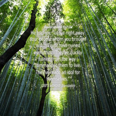 Picture 04 - Deuteronomy 9:12 GW - He told me, “Leave right away. Your people whom - Bible Verse Picture