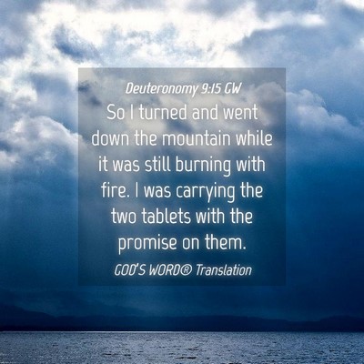 Picture 04 - Deuteronomy 9:15 GW - So I turned and went down the mountain while it - Bible Verse Picture