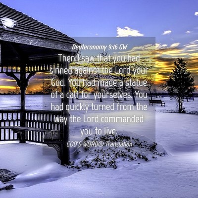 Picture 04 - Deuteronomy 9:16 GW - Then I saw that you had sinned against the Lord - Bible Verse Picture
