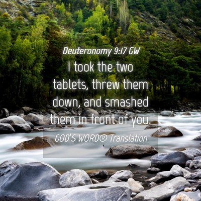 Picture 04 - Deuteronomy 9:17 GW - I took the two tablets, threw them down, and - Bible Verse Picture