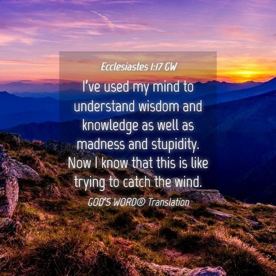 Picture 04 - Ecclesiastes 1:17 GW - I’ve used my mind to understand wisdom and - Bible Verse Picture