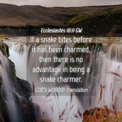 Picture 04 - Ecclesiastes 10:11 GW - If a snake bites before it has been charmed, then - Bible Verse Picture