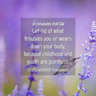 Picture 04 - Ecclesiastes 11:10 GW - Get rid of what troubles you or wears down your - Bible Verse Picture