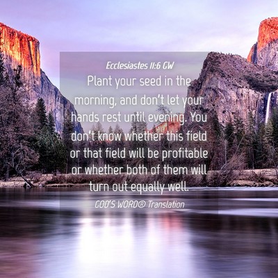 Picture 04 - Ecclesiastes 11:6 GW - Plant your seed in the morning, and don’t let - Bible Verse Picture