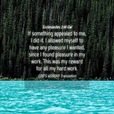 Picture 04 - Ecclesiastes 2:10 GW - If something appealed to me, I did it. I allowed - Bible Verse Picture