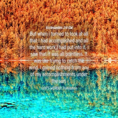 Picture 04 - Ecclesiastes 2:11 GW - But when I turned to look at all that I had - Bible Verse Picture