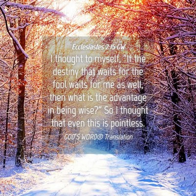 Picture 04 - Ecclesiastes 2:15 GW - I thought to myself, “If the destiny that waits - Bible Verse Picture