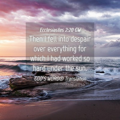 Picture 04 - Ecclesiastes 2:20 GW - Then I fell into despair over everything for - Bible Verse Picture