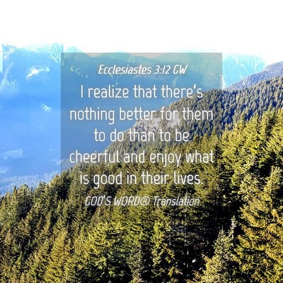 Picture 04 - Ecclesiastes 3:12 GW - I realize that there’s nothing better for them - Bible Verse Picture