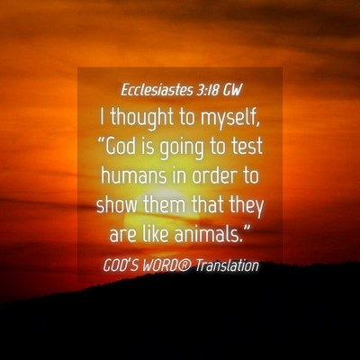 Picture 04 - Ecclesiastes 3:18 GW - I thought to myself, “God is going to test - Bible Verse Picture