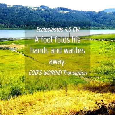 Picture 04 - Ecclesiastes 4:5 GW - A fool folds his hands and wastes - Bible Verse Picture