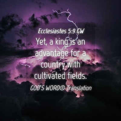 Picture 04 - Ecclesiastes 5:9 GW - Yet, a king is an advantage for a country with - Bible Verse Picture