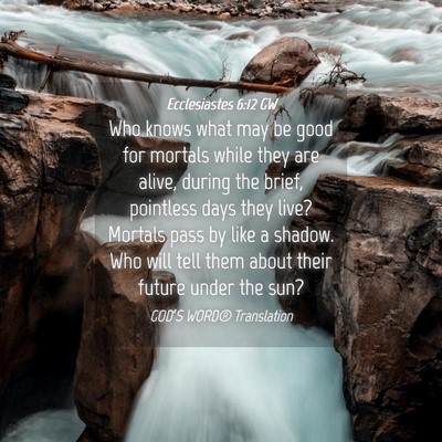 Picture 04 - Ecclesiastes 6:12 GW - Who knows what may be good for mortals while they - Bible Verse Picture