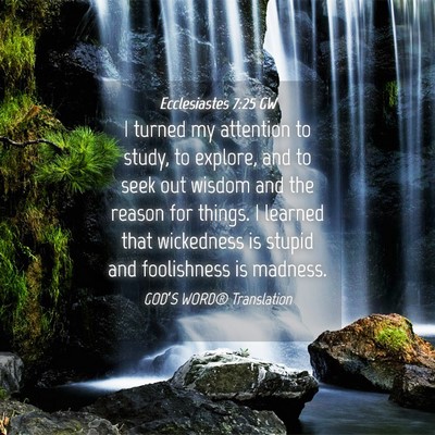 Picture 04 - Ecclesiastes 7:25 GW - I turned my attention to study, to explore, and - Bible Verse Picture