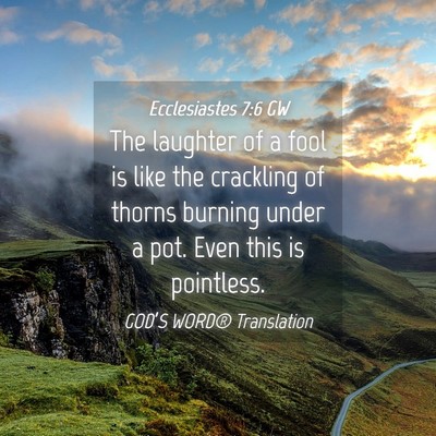 Picture 04 - Ecclesiastes 7:6 GW - The laughter of a fool is like the crackling of - Bible Verse Picture