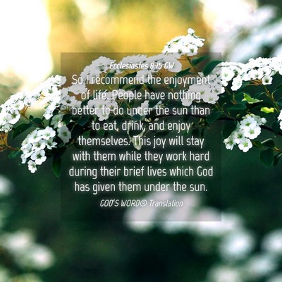 Picture 04 - Ecclesiastes 8:15 GW - So I recommend the enjoyment of life. People have - Bible Verse Picture