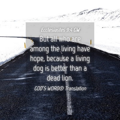 Picture 04 - Ecclesiastes 9:4 GW - But all who are among the living have hope, - Bible Verse Picture
