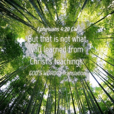 Picture 04 - Ephesians 4:20 GW - But that is not what you learned from Christ’s - Bible Verse Picture